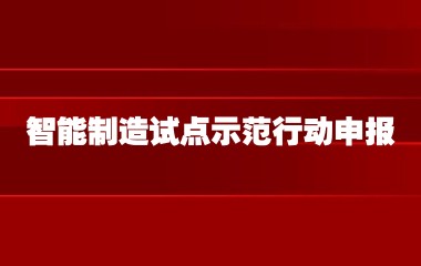 上海市经济信息化委关于开展国家级2023年度智能制造试点示范行动申报工作的通知