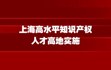 上海市知识产权局印发《关于加快建设上海高水平知识产权人才高地的实施意见(2023-2025年)》的通知