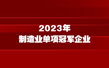 上海市经济和信息化委员会关于开展2023年 制造业单项冠军企业遴选认定和复核评价工作的通知