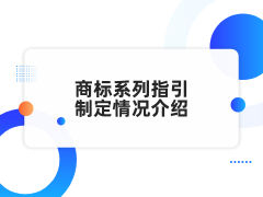 商标系列指引制定情况介绍