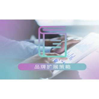 品牌扩展策略