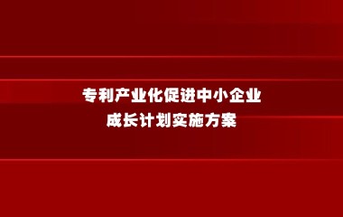 《专利产业化促进中小企业成长计划实施方案》解读