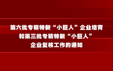 工业和信息化部办公厅关于开展第六批专精特新“小巨人”企业培育和第三批专精特新“小巨人”企业复核工作的通知