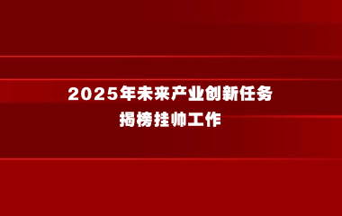 上海市经济信息化委关于转发《工业和信息化部办公厅 关于组织开展2025年未来产业创新任务揭榜挂帅工作的通知》的通知