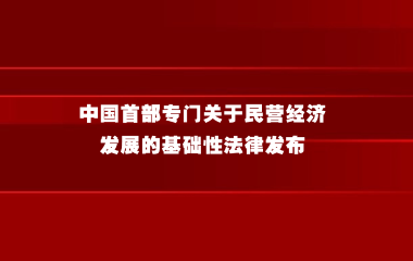 中华人民共和国民营经济促进法