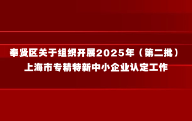 奉贤区关于组织开展2025年（第二批）上海市专精特新中小企业认定工作的通知