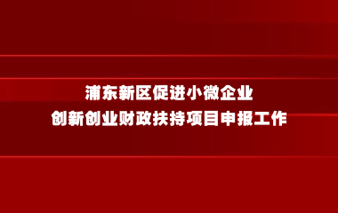 关于开展浦东新区促进小微企业创新创业财政扶持项目申报工作的通知