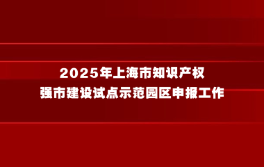 关于组织开展2025年上海市知识产权强市建设试点示范园区申报工作的通知