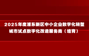 关于遴选2025年度浦东新区中小企业数字化转型 城市试点数字化改造服务商（培育）的通知
