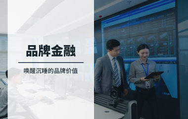 品牌金融：唤醒沉睡的品牌价值，让无形资产成为企业发展的“活水源泉”