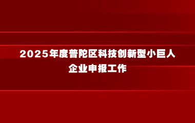 关于开展2025年度普陀区科技创新型小巨人企业申报工作的通知