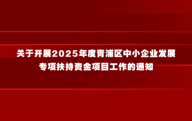 关于开展2025年度青浦区中小企业发展专项扶持资金项目工作的通知