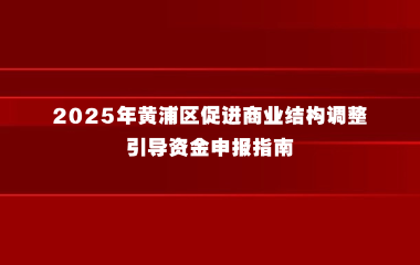2025年黄浦区促进商业结构调整引导资金申报指南