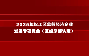 关于组织申报2025年松江区总部经济企业发展专项资金（区级总部认定）的通知