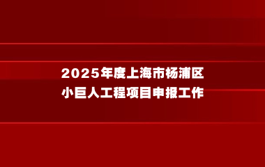 2025年度上海市杨浦区小巨人工程项目申报工作的通知