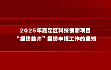 2025年嘉定区科技创新项目“揭榜挂帅”揭榜申报工作的通知